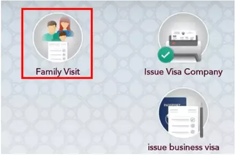 Family Visit Visa service option screenshot Metrash2 app