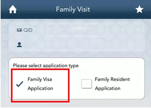 Family Visit Visa Application submit screenshot Metrash2 app